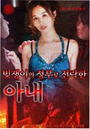 曲奇动漫数据观察栏目配图